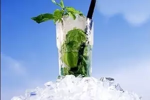 bacardi rum - bacardi mojito