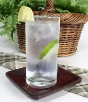 gin tonic