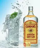 gordons gin