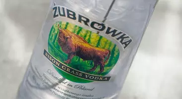 zubrowka vodka